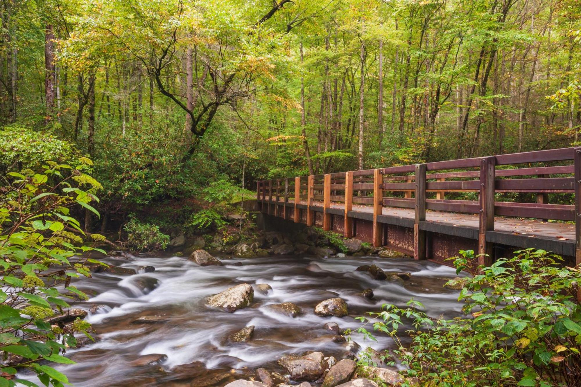 Lazy Bear Lodge, Hot Tub, Resort Pool, Wifi, 1089 Free Tickets Each Paid Day, Dollywood And More Gatlinburg Exterior photo